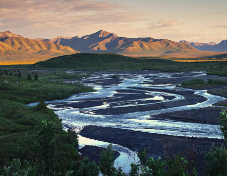 Denali National Park